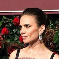 Hayley Atwell Nagie