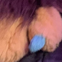 saberthot Nagie